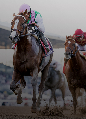 2024 Breeders' Cup Sprint Picks and Predictions