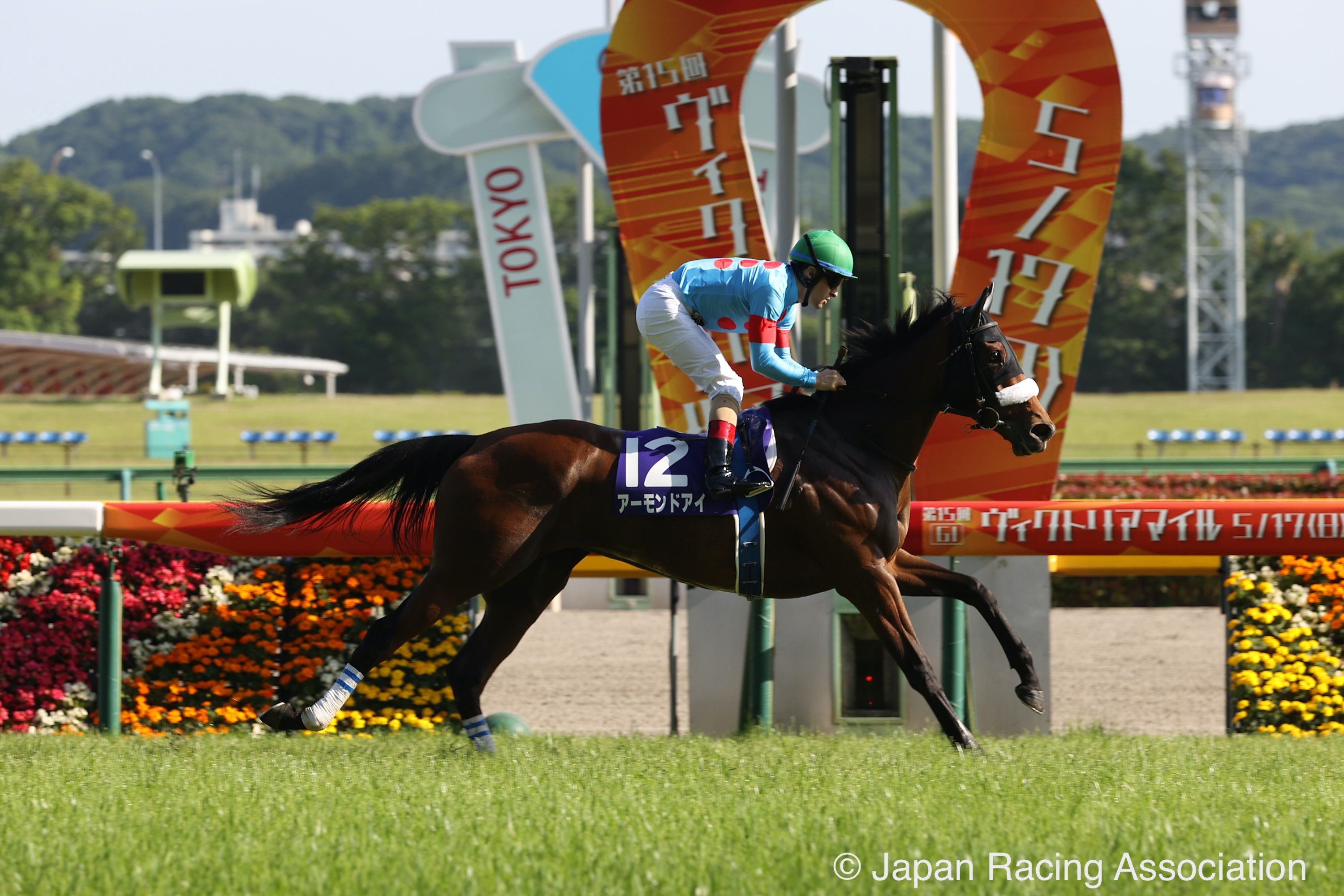 Almond Eye Dominates Victoria Mile in Japan and Gains Automatic