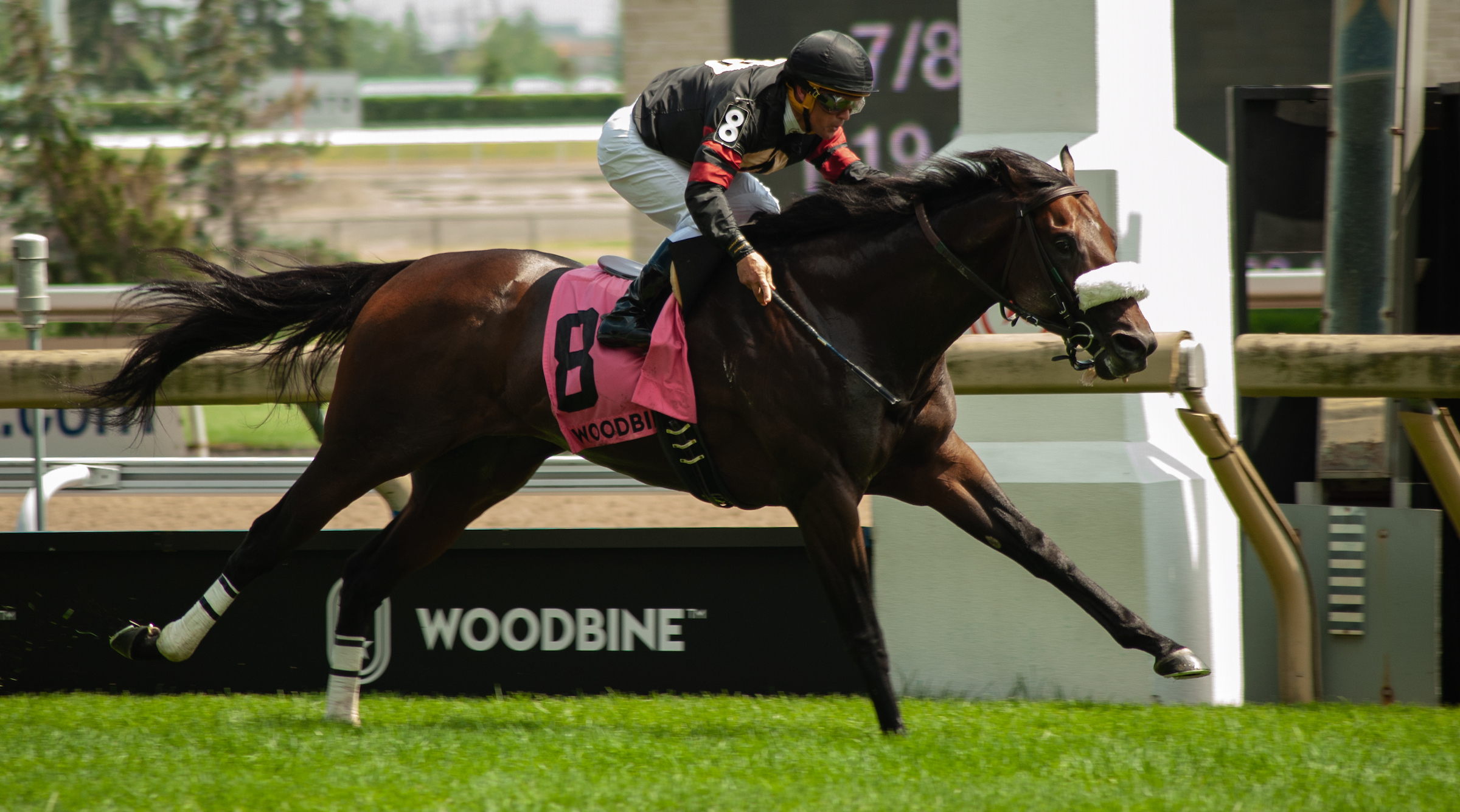 Delta Prince Ships Back North for Woodbine Mile