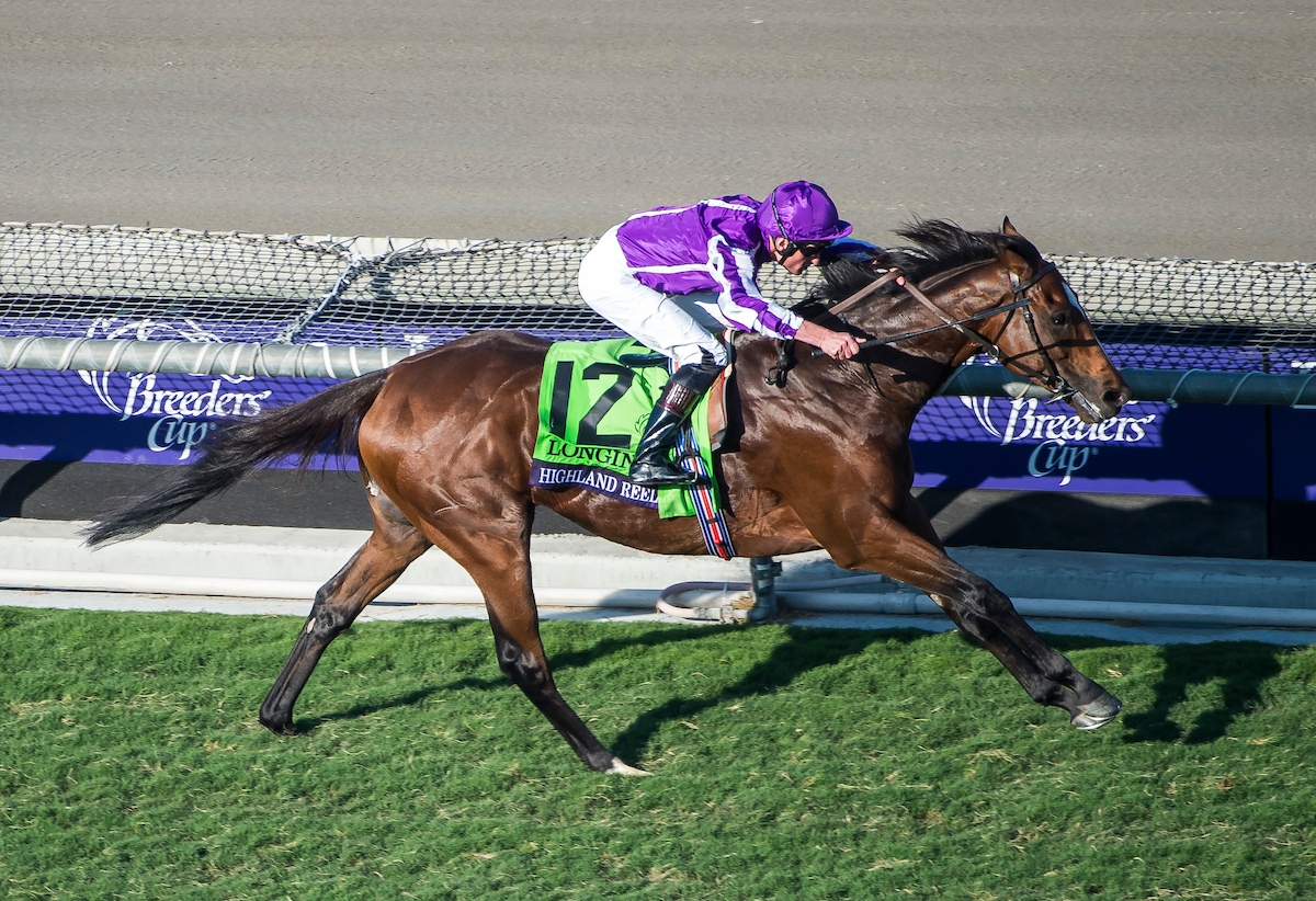 Highland Reel (IRE) Leads Coolmore to John Deere Award as Outstanding