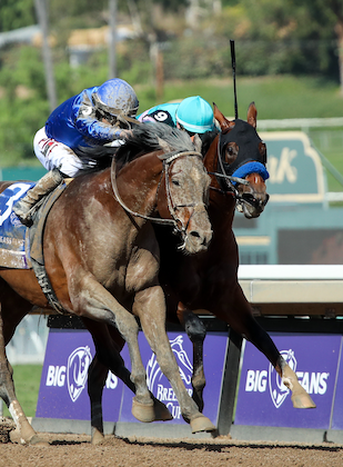 ビジネス・経済 HIT WIN VICTORY II OF HORSE RACE Sovereignty wins Horse of the Year at Eclipse Awards, Bill Mott