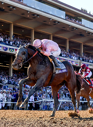 Breeders' Cup | Oct. 31 & Nov. 1 2025