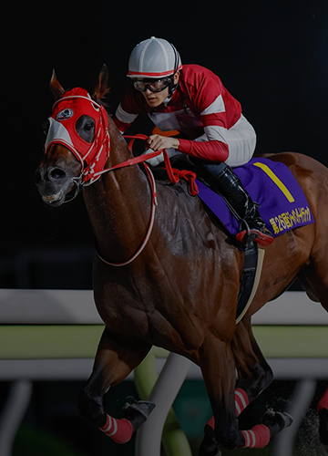 Forever Young Aces Japan Prep for Breeders' Cup Classic