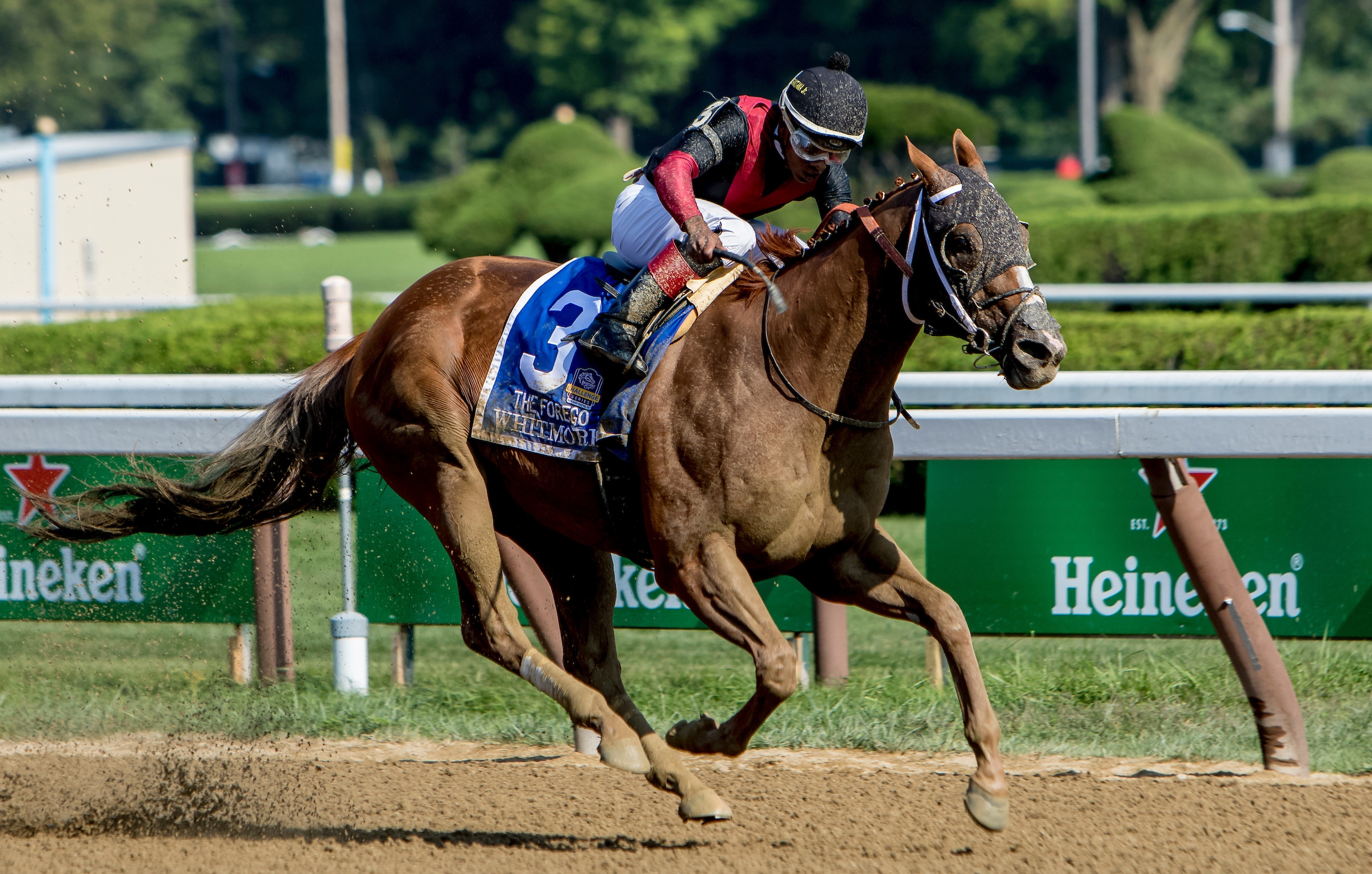 Whitmore s win in Forego sends him to Breeders Cup Dirt Mile