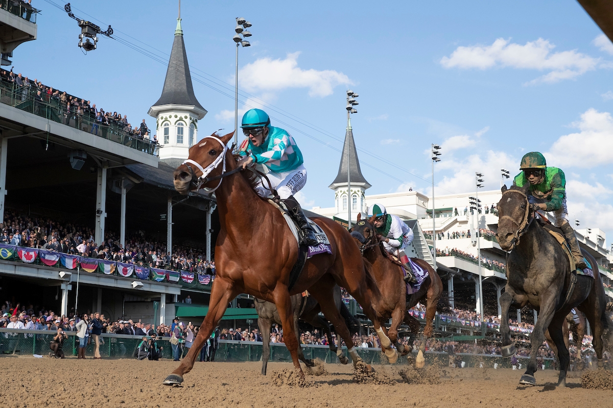 2018 Champ Monomoy Girl 8 5 Favorite in Longines Distaff Return