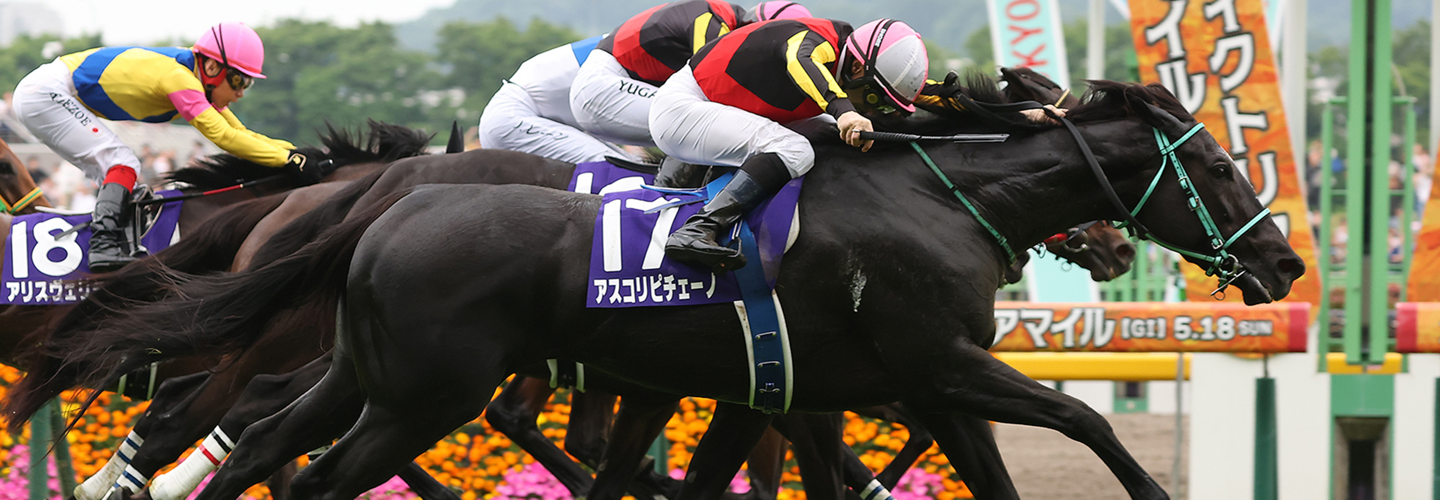 Ascoli Piceno Clinches Victoria Mile