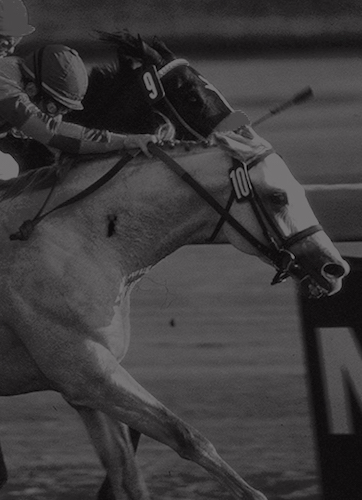 19 - Alphabet Soup Wins First Classic Outside United States