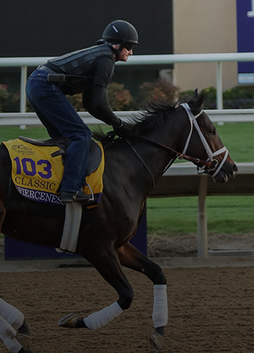 2024 Breeders' Cup Classic at a Glance