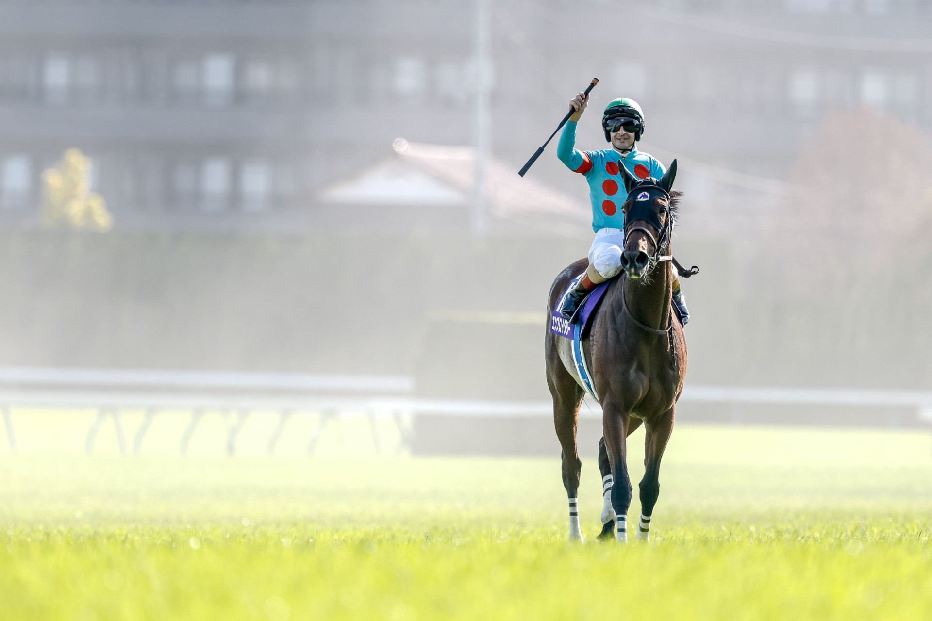競馬Breeders' Cup 2021 Champion ジャージジャケット Embroidery Shines in Victoria Mile Triumph