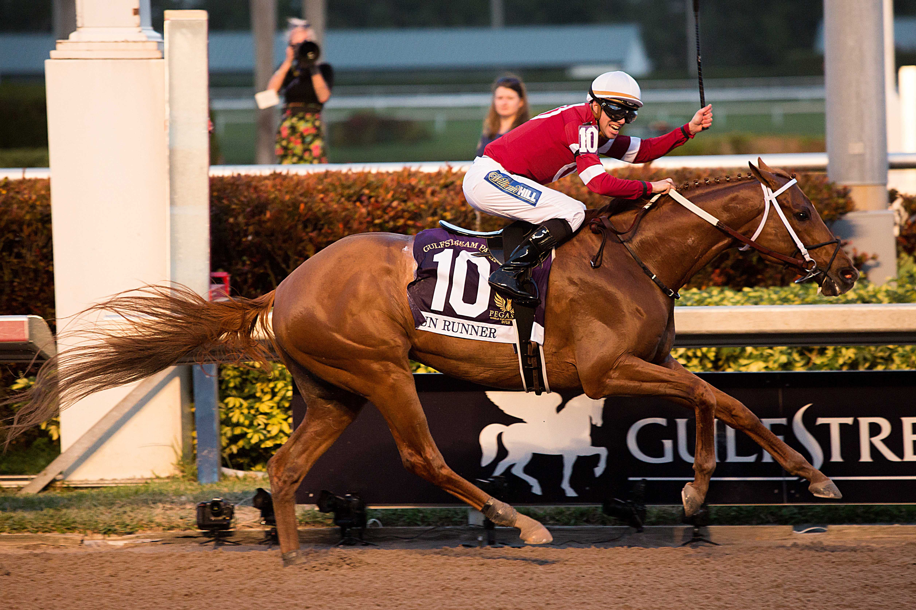 The Pegasus World Cup: 10 Facts That Define a Modern Classic