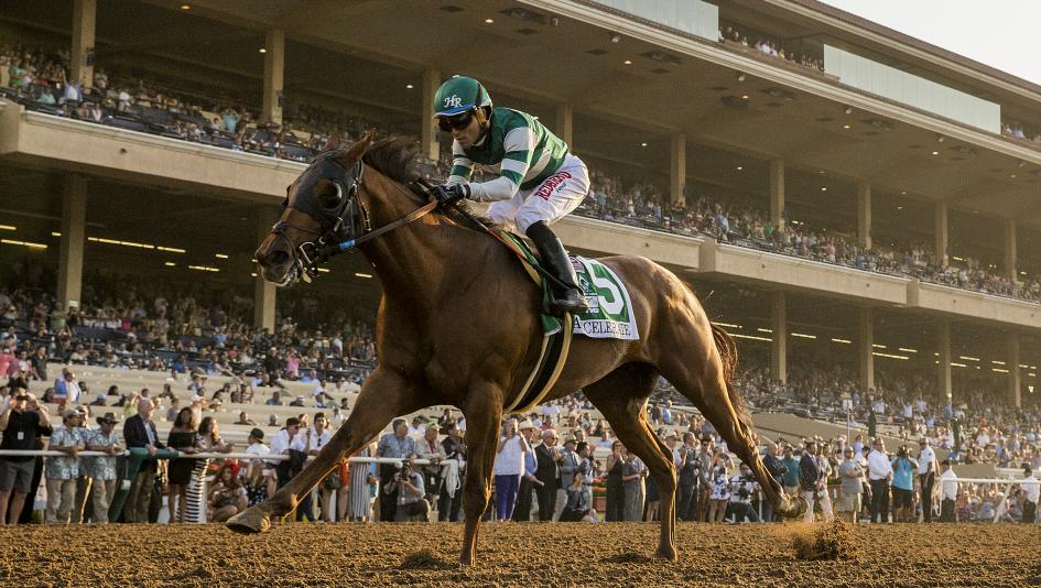 Eleven Fun Facts About the Breeders’ Cup Challenge Series