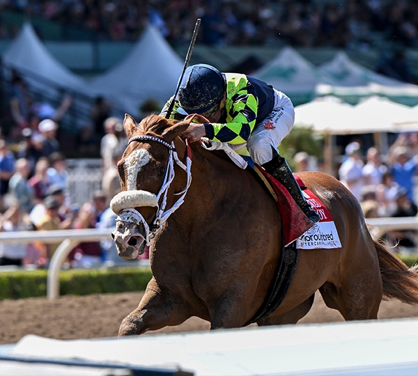 Breeders' Cup Contenders