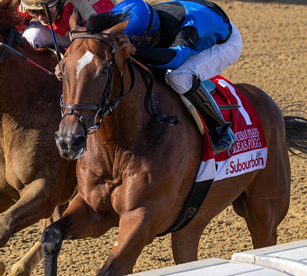 2024 BREEDERS' CUP まとめセット 2024 BREEDERS' CUP まとめセット 2024 BREEDERS' CUP まとめセット