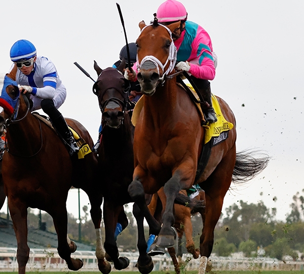 Breeders' Cup Contenders