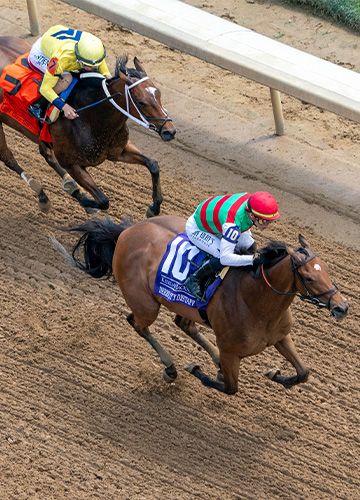 Chicago_Stakes_Preview_Interio