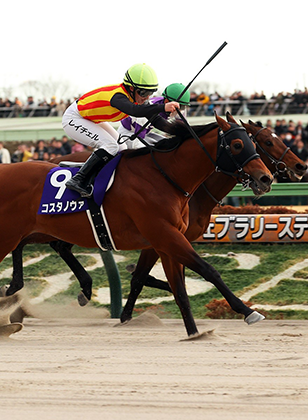 COSTA NOVA PUNCHES BREEDERS' CUP CLASSIC TICKET IN FEBRUARY STAKES