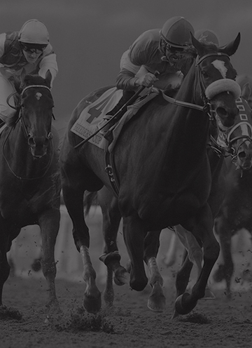 1 - Zenyatta Trounces Males With Closing Rush in Classic for the Ages