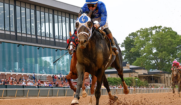 2024 BREEDERS' CUP まとめセット All The Japanese Contenders At The Breeders' Cup | Del Mar