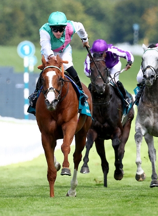 Breeders' Cup | Oct. 31 & Nov. 1 2025