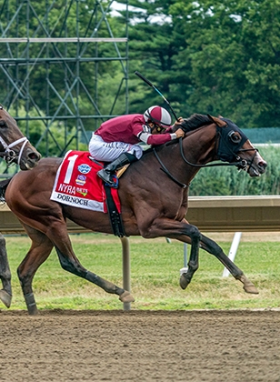 2024 BREEDERS' CUP まとめセット Breeders' Cup 2024: Classic (Full Race) | NBC Sports - YouTube
