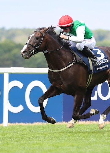 PYLEDRIVER WINS KING GEORGE VI AND QUEEN ELIZABETH QIPCO STAKES AT