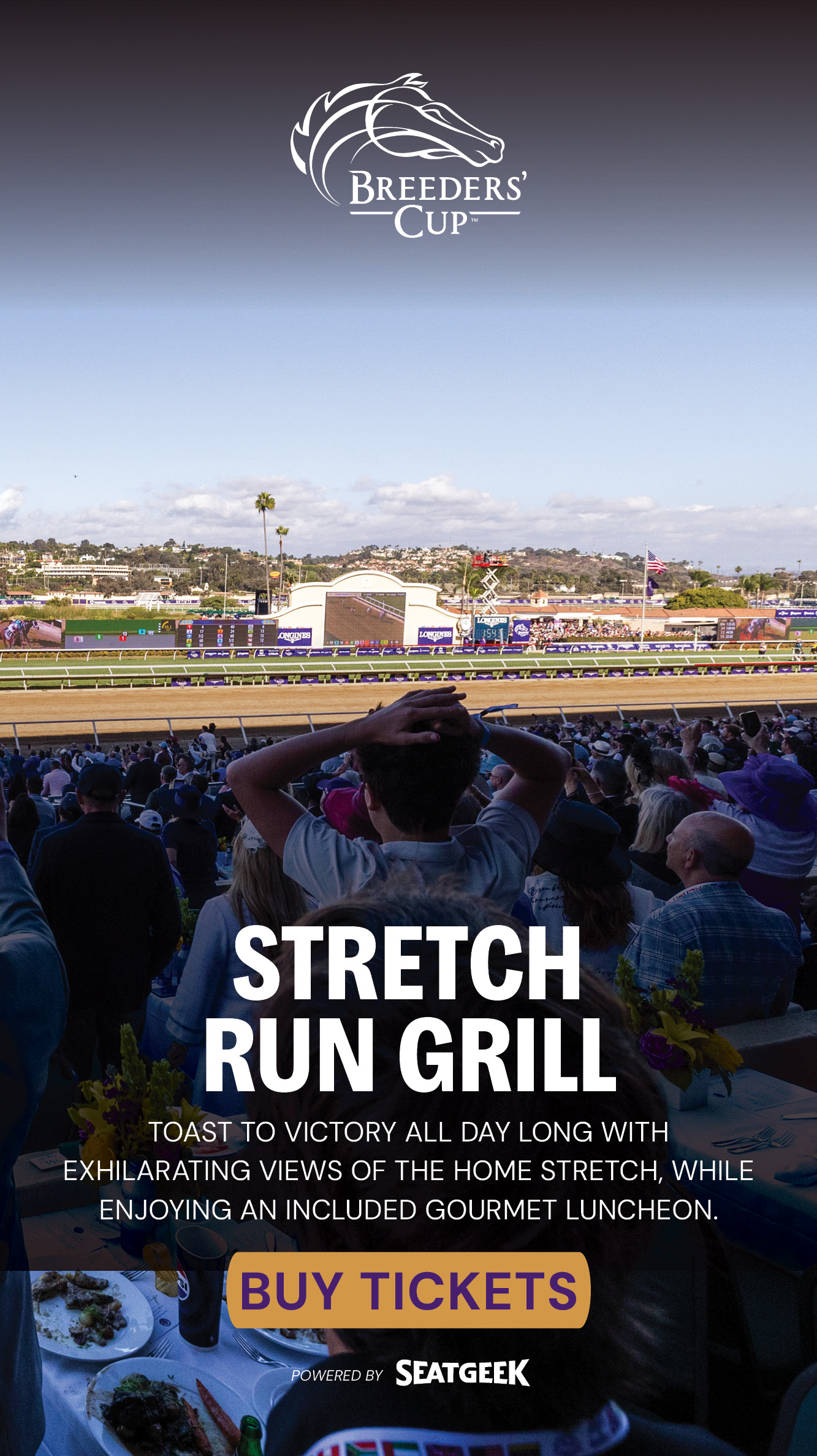 2024 BREEDERS' CUP まとめセット sddefault.jpg?v=6723d187