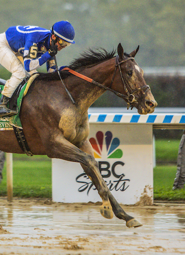 A Closer Look at 2022 Breeders' Cup Juvenile Hopeful Blazing Sevens
