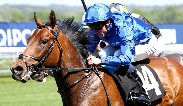 Breeders' Cup World Championships 2024