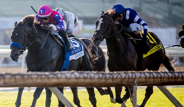 2024 BREEDERS' CUP まとめセット maxresdefault.jpg