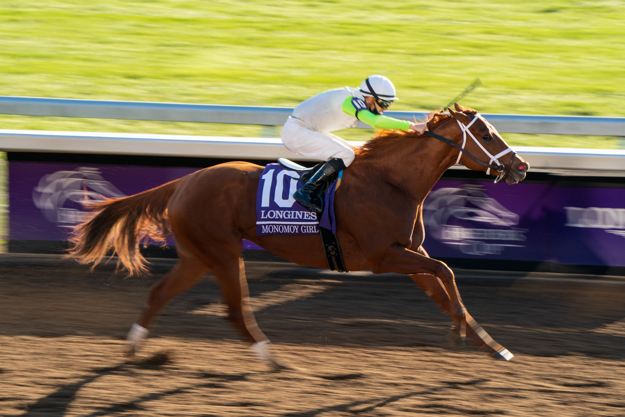 Monomoy Girl Dominates the Distaff