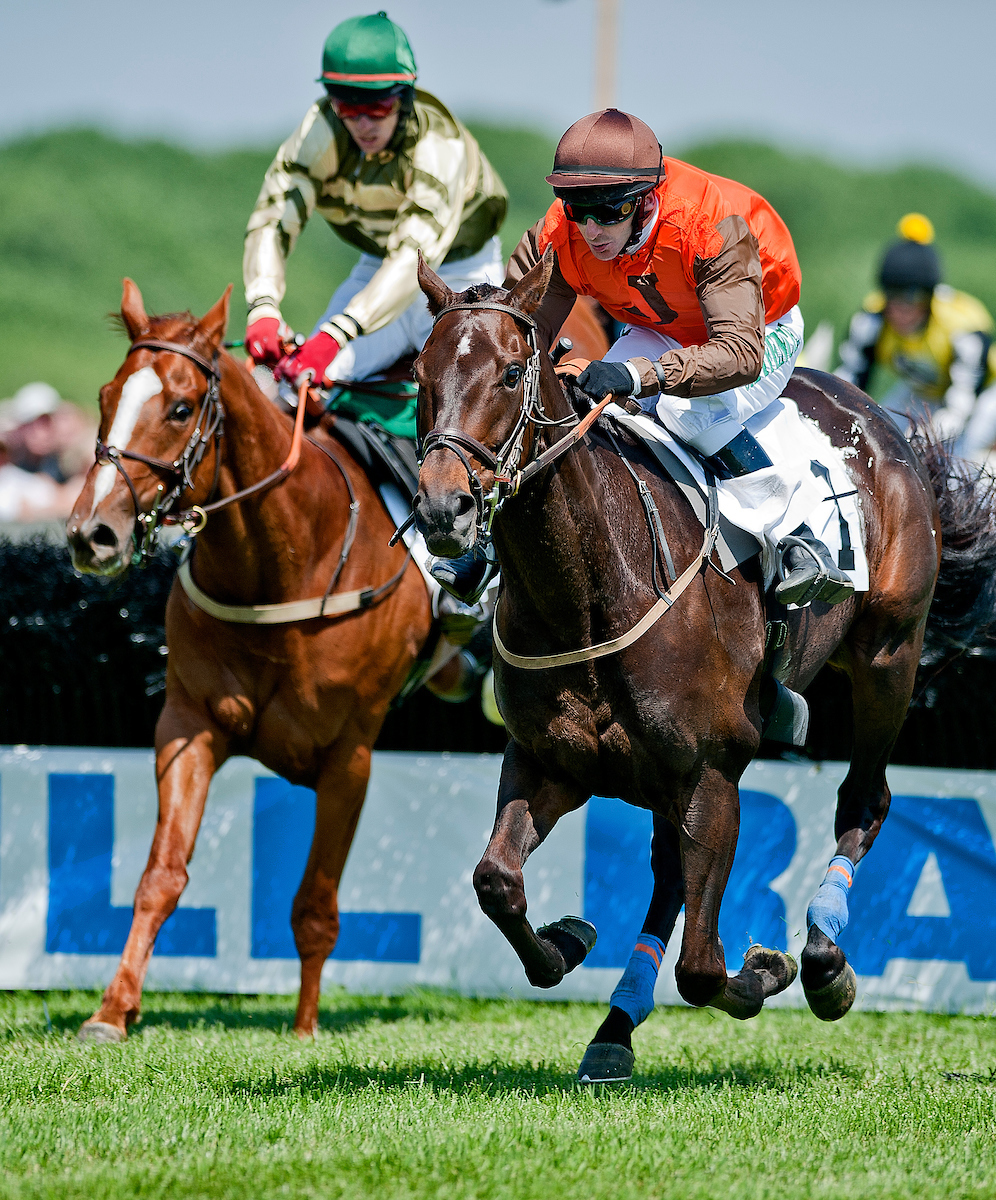 Decoding the Impact of Ground Conditions on Thoroughbred Performance