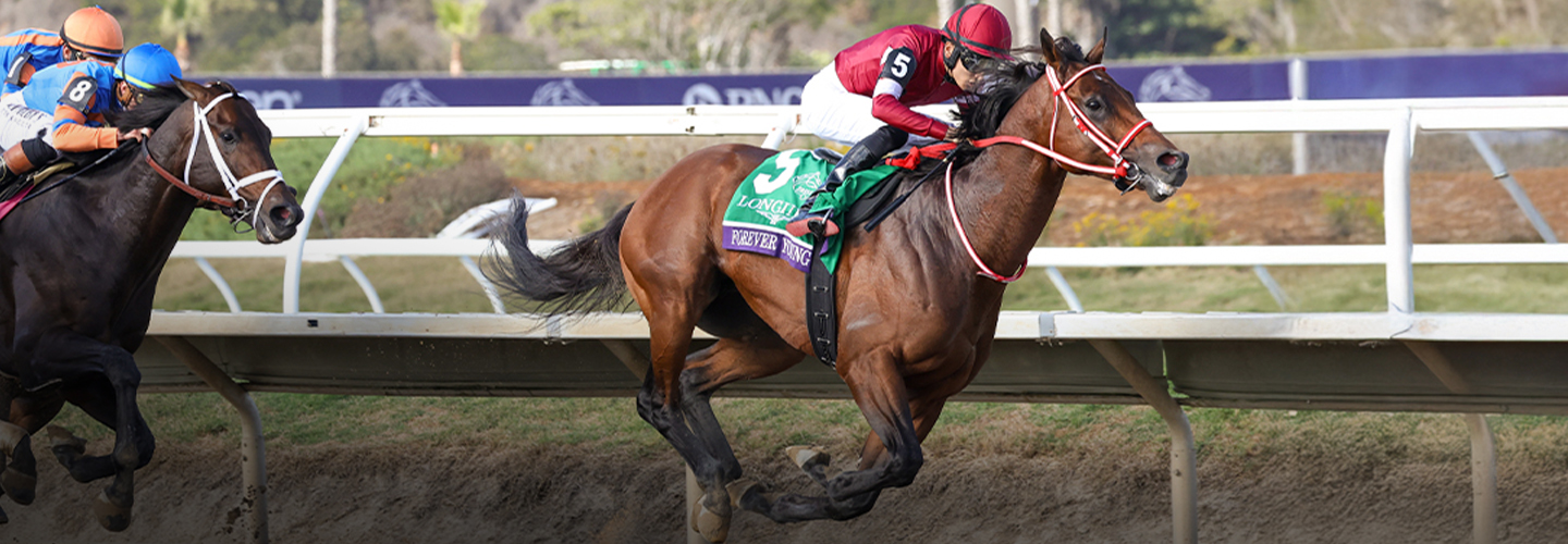 Forever Young Wins a Classic Breeders' Cup Classic