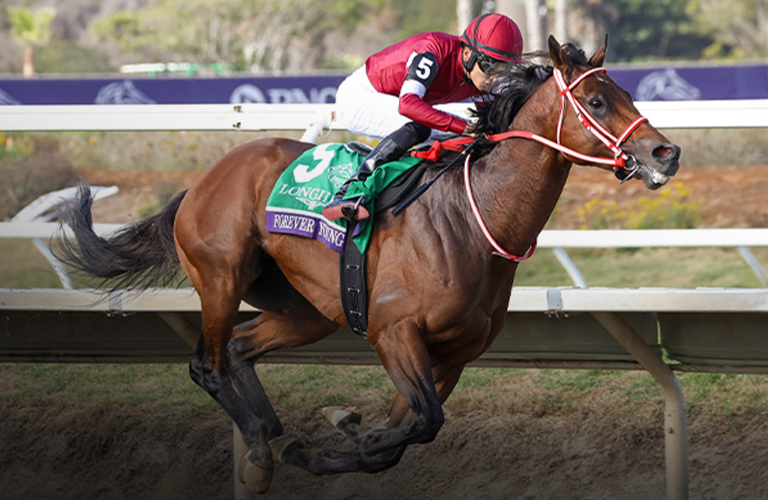 Forever Young Wins a Classic Breeders' Cup Classic
