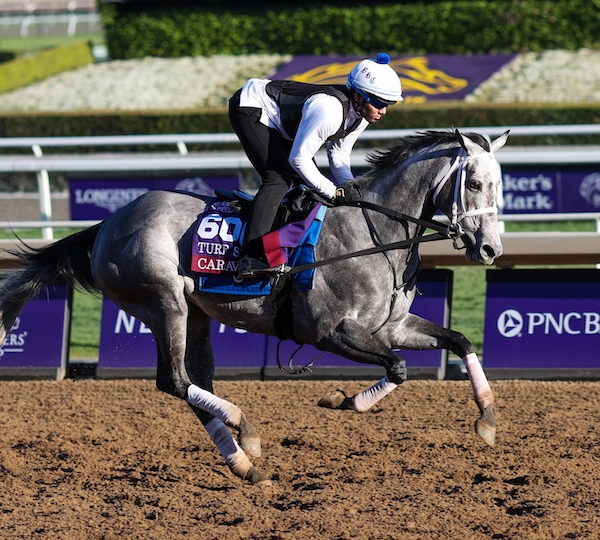 2023 Breeders' Cup Turf Sprint Picks and Prediction