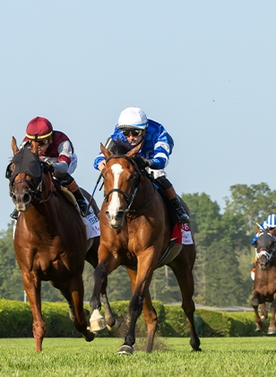 2024 BREEDERS' CUP まとめセット 2024 BREEDERS' CUP まとめセット 2024 at Del Mar