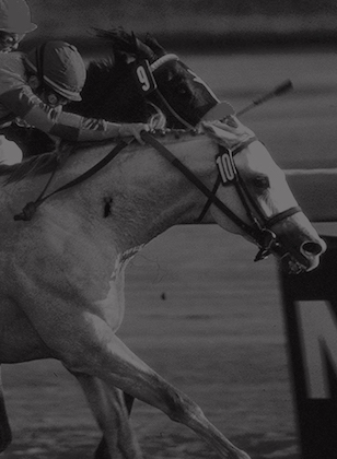 19 - Alphabet Soup Wins First Classic Outside United States