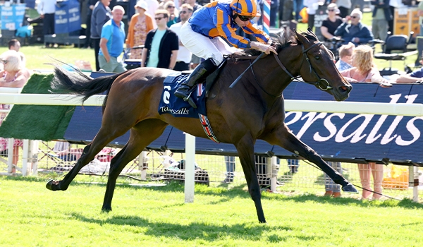2024 BREEDERS' CUP まとめセット Breeders' Cup Classic & Juvenile Top Picks + BC 2024