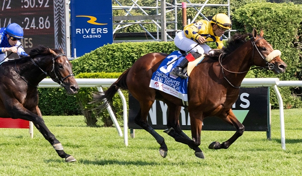 2024 BREEDERS' CUP まとめセット まとめセット BREEDERS' 2024 CUP