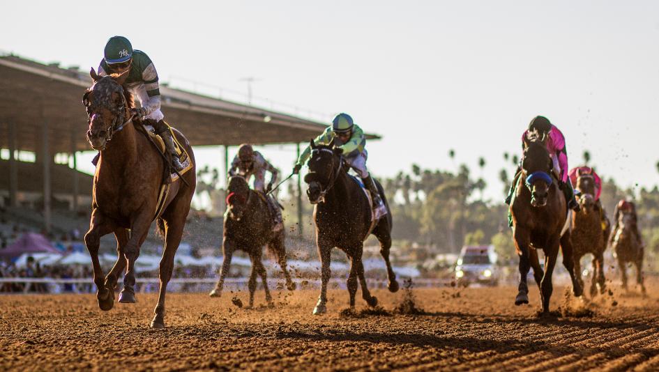 Road to the Breeders’ Cup Santa Anita in Spotlight