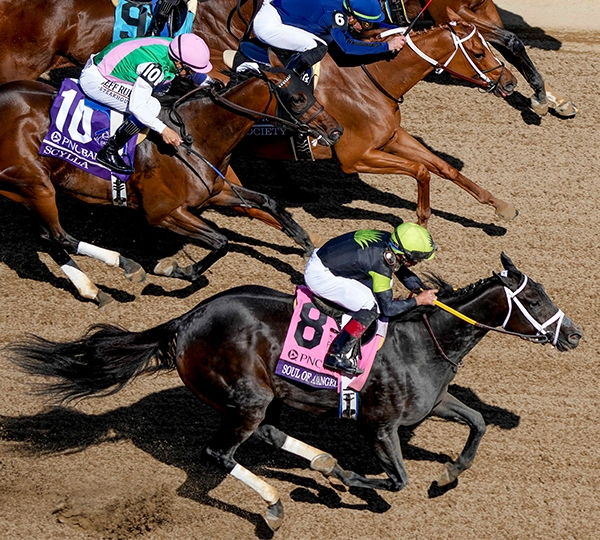 2024 Breeders' Cup Classic Cheat Sheet: Get to Know the