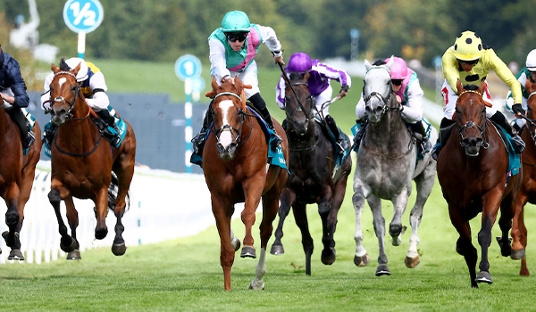 2024 BREEDERS' CUP まとめセット Breeders' Cup | Oct. 31 & Nov. 1 2025