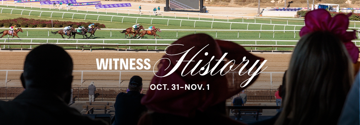 2024 BREEDERS' CUP まとめセット sddefault.jpg?v=6723d187