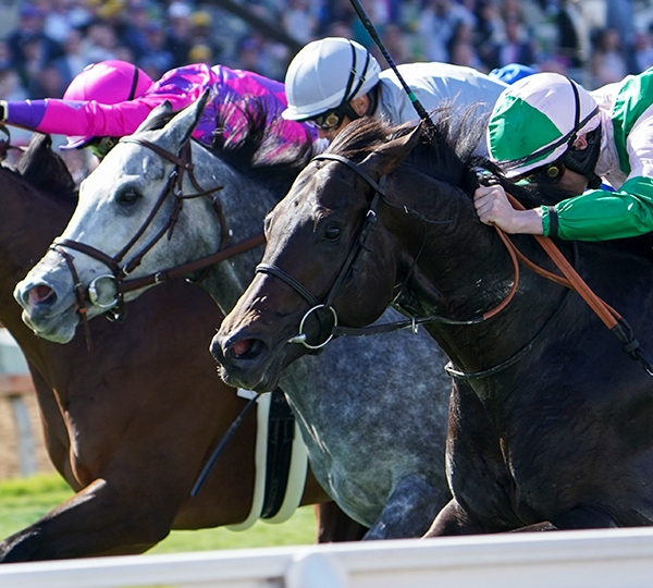 スケールモデル 新作 Breeders' Cup World Championships 2024 趣味