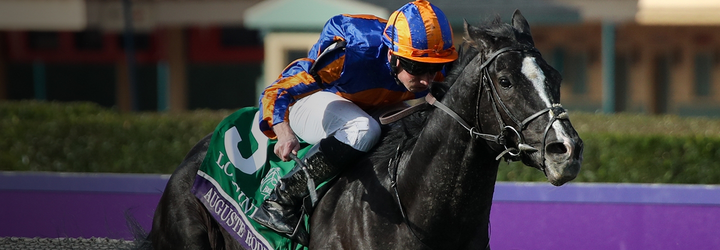 2024 Breeders' Cup Turf Picks and Predictions