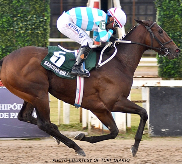 2024 BREEDERS' CUP まとめセット 2024 BREEDERS' CUP まとめセット