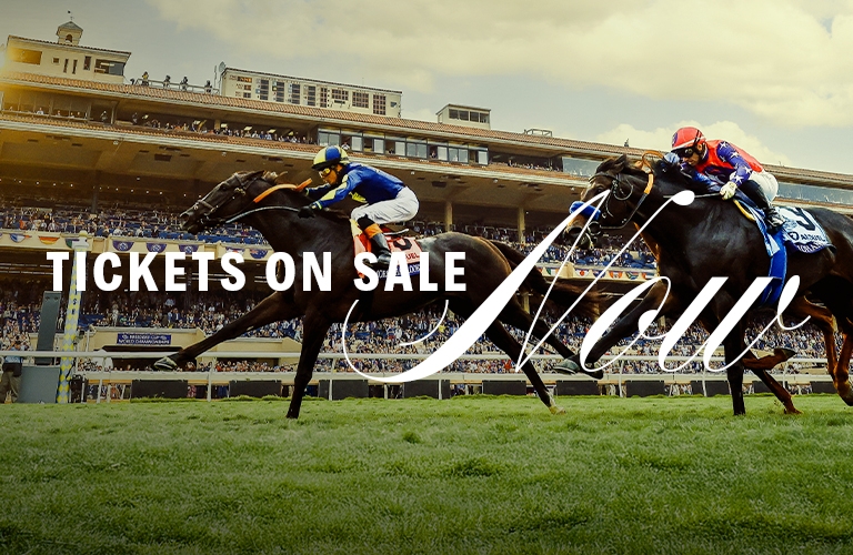 2024 BREEDERS' CUP まとめセット Japanese Horses At The 2024 Breeders' Cup: The Top Contenders
