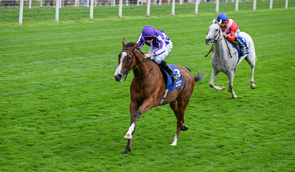Breeders' Cup | Oct. 31 & Nov. 1 2025