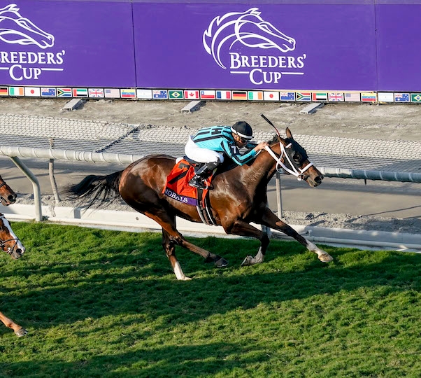 ELITE POWER DEFENDS HIS TITLE IN QATAR RACING BREEDERS’ CUP SPRINT