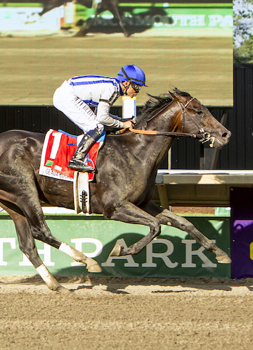 Geaux Rocket Ride, Mage Rise in Longines Breeders' Cup Classic
