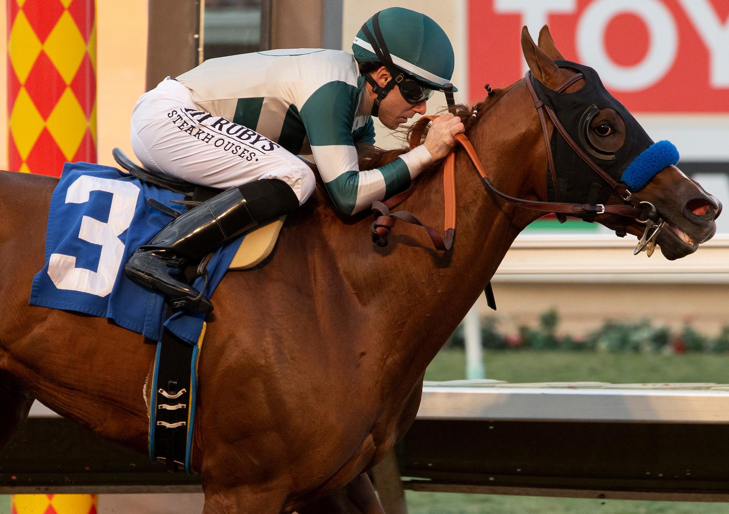 2019 TVG Haskell Invitational Cheat Sheet